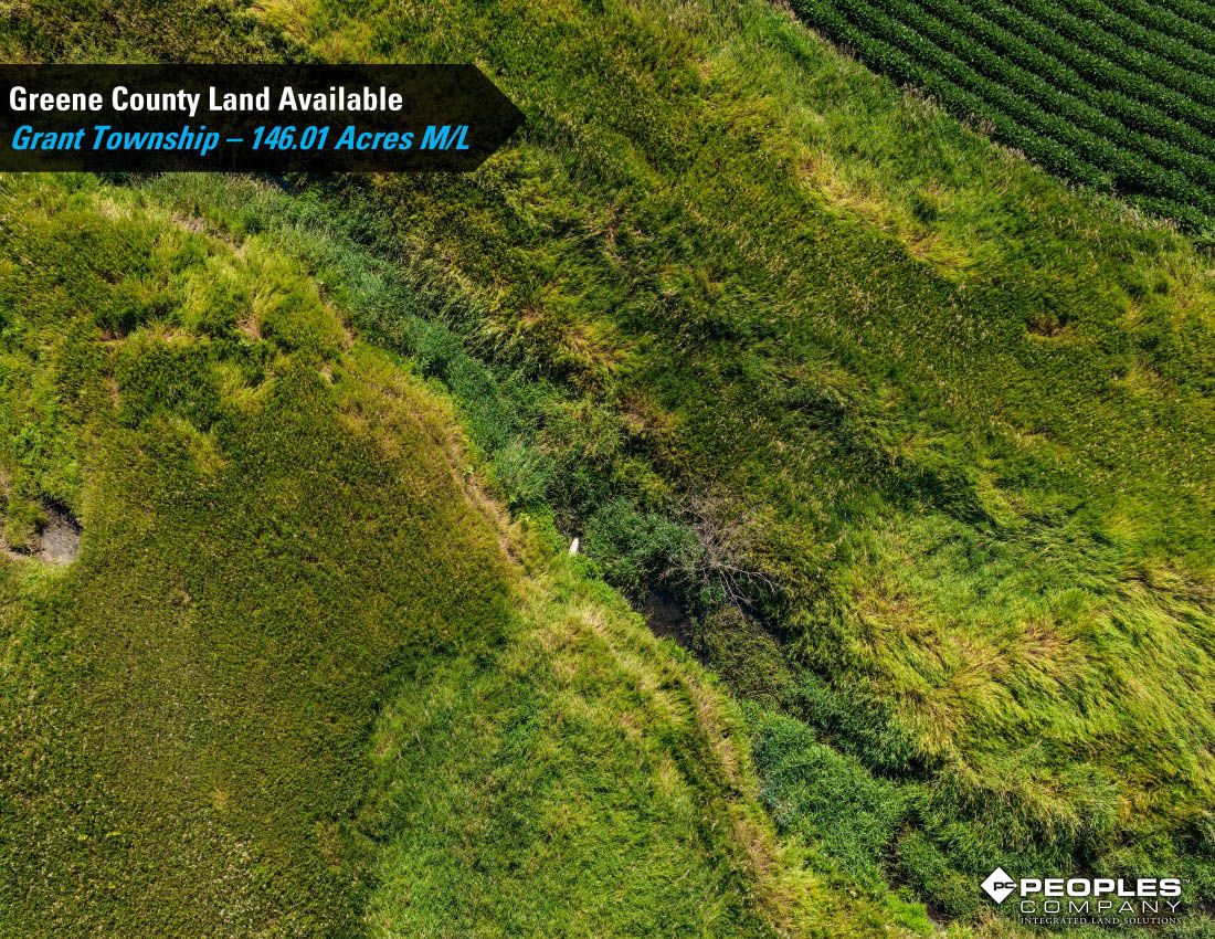 Listing Photo: Greene-County-Iowa-Farmland-Available-146-Acres-19686-Jefferson (14)